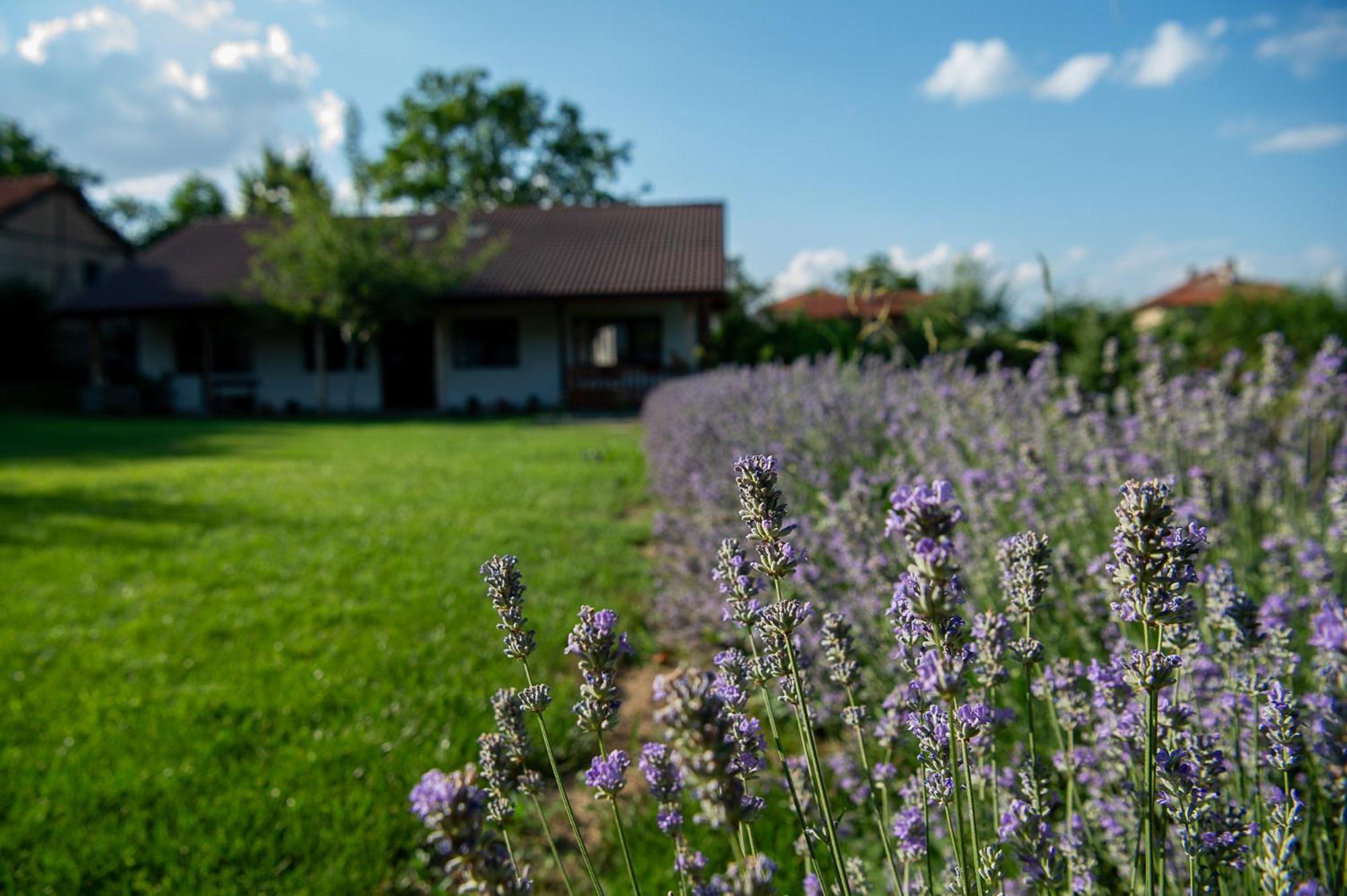 Walnut Cottage 1 Deredzhik-Koy Exterior foto